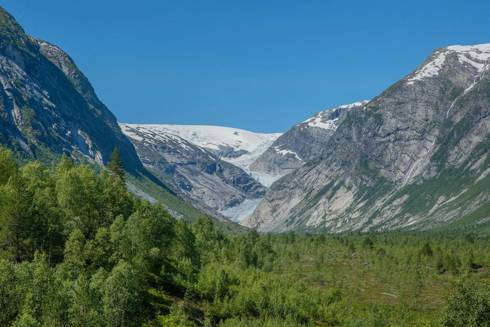 Blick auf Nigardsbreen.