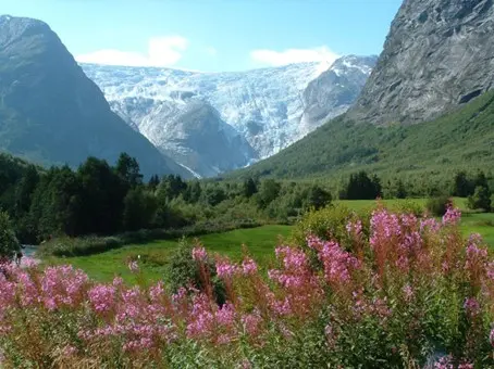 Freier Tag mit optionaler Wanderung zur Gletscherzunge im Tal Krundalen oder Fjordcruise