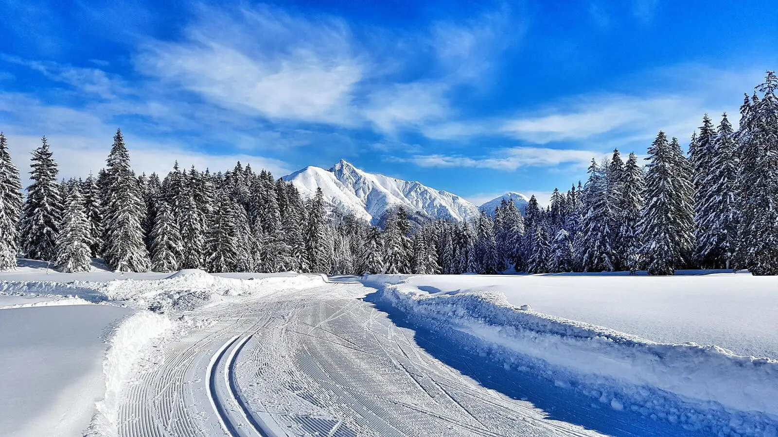 Die Skilanglaufcamps finden in einer atemberaubenden Naturkulisse statt