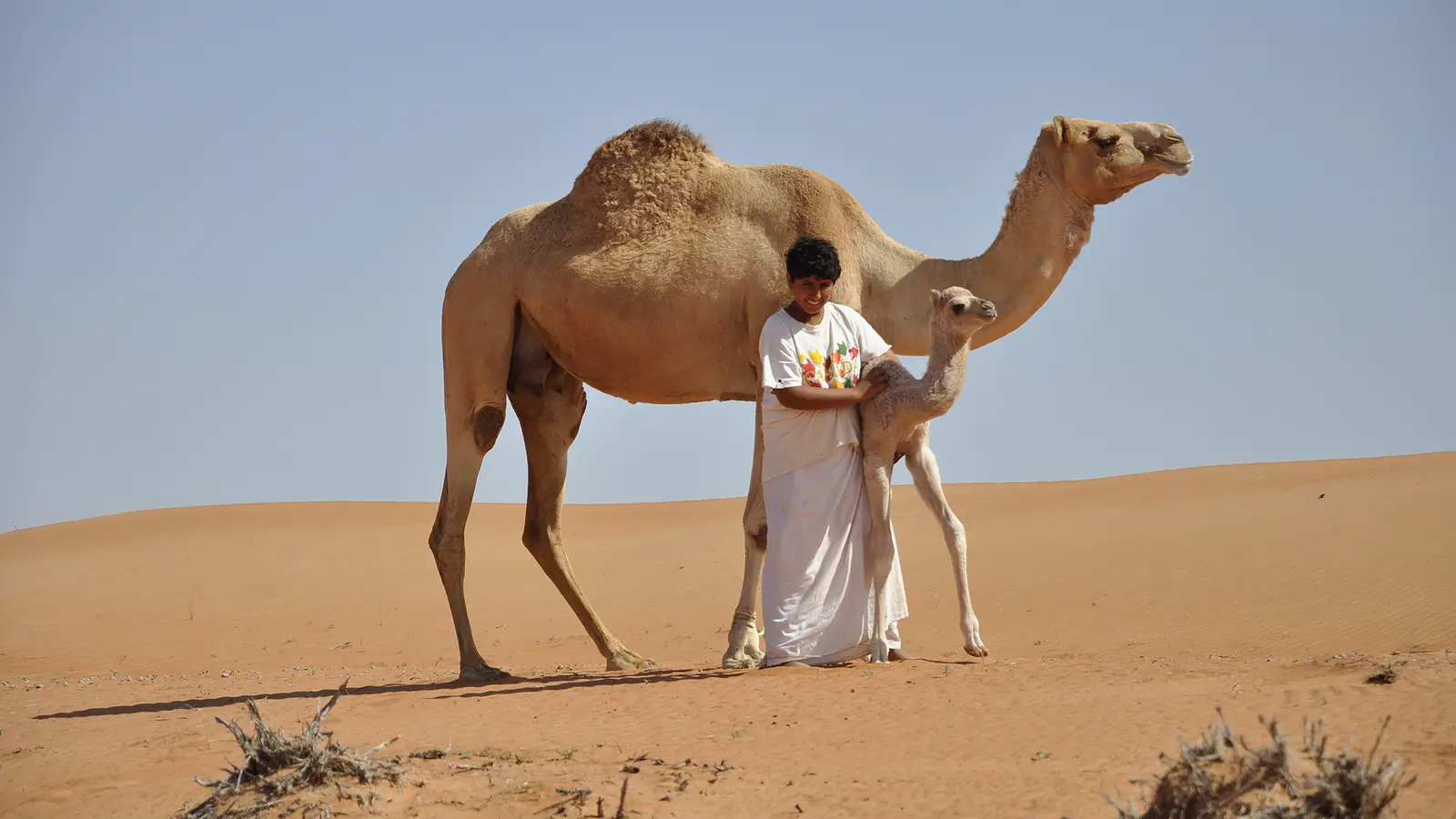 In guter Gesellschaft: zwischen Sand und Seele