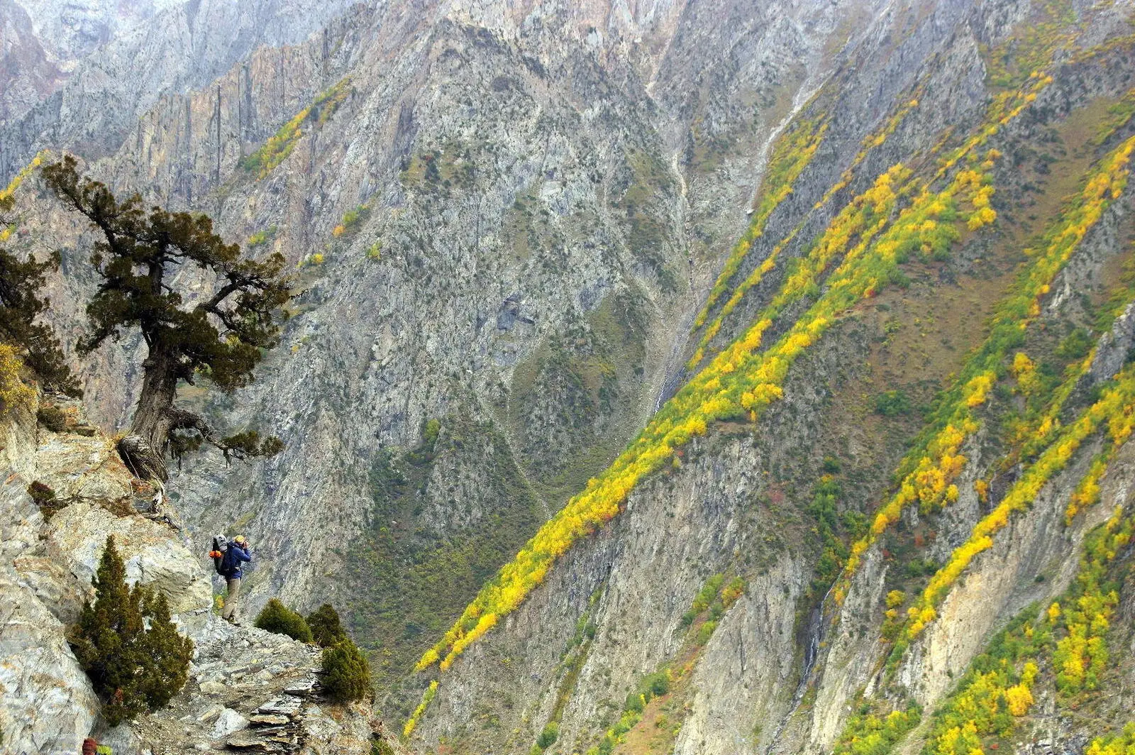Herbstfarben beim Aufstieg zum Rakaposhi Basecamp (Foto: Markus Protze)