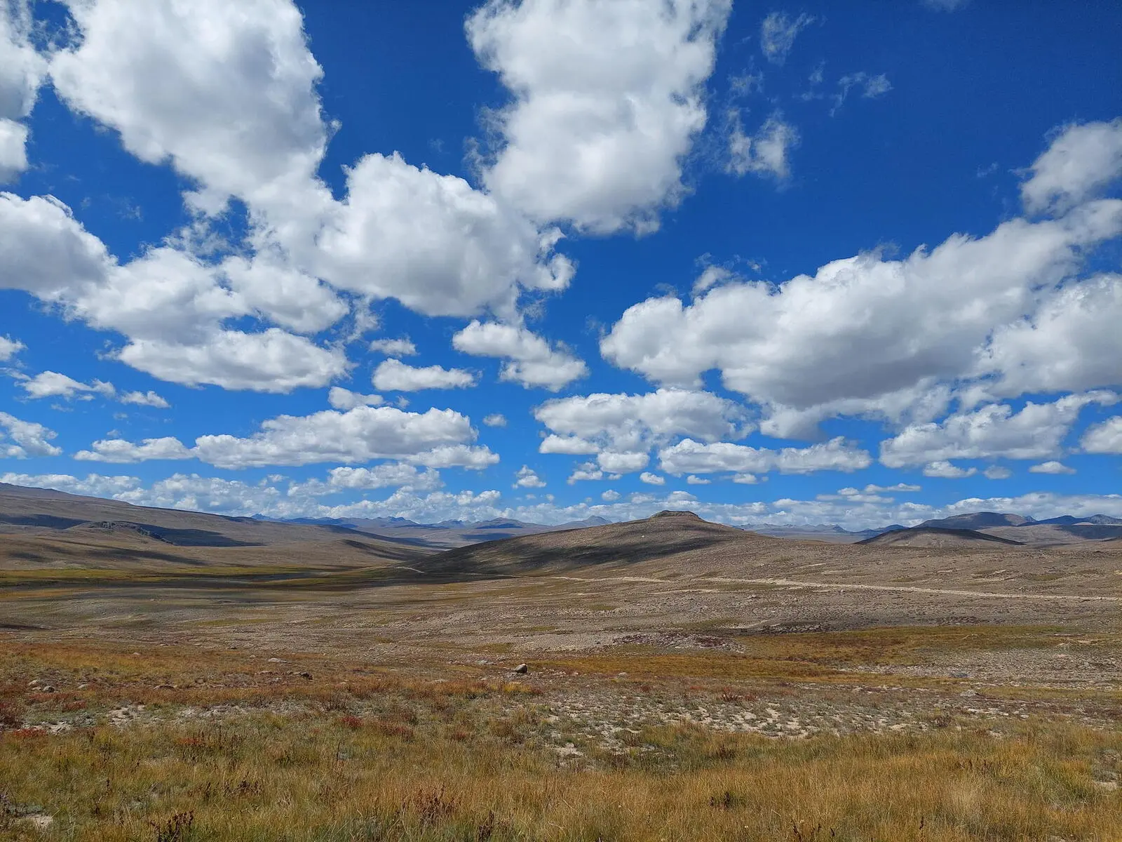 Endlose Weiten prägen das Deosai Plateau (Foto: Katia Gladitz)