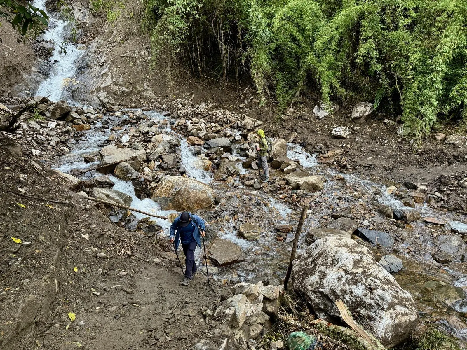 Das zweite Trekking führt durch tropische Nebelwälder (Foto J. Wirtz)