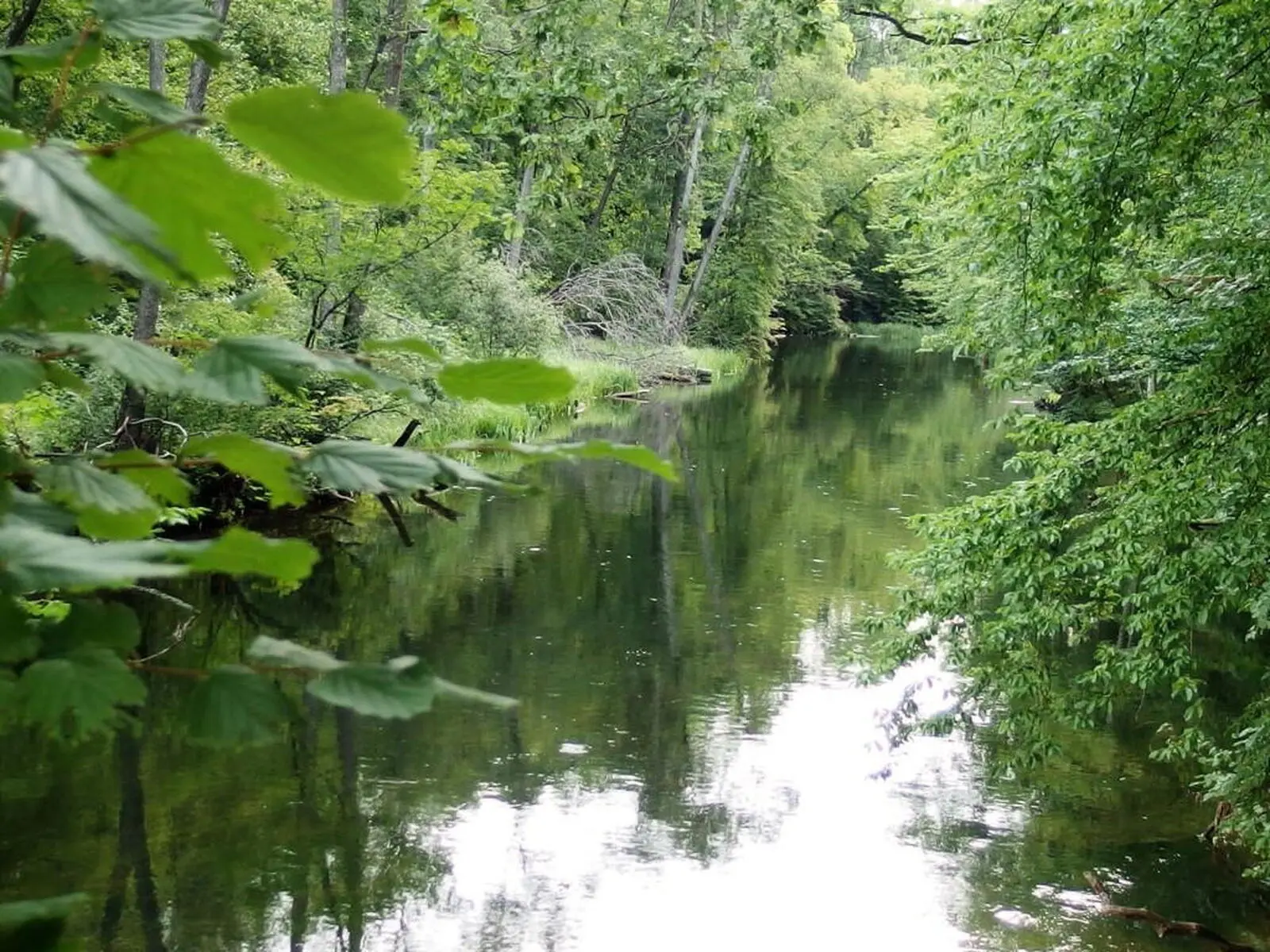Idyllische Naturerlebnisse