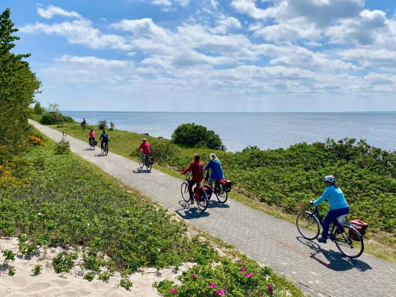 Radweg auf der Halbinsel Hel