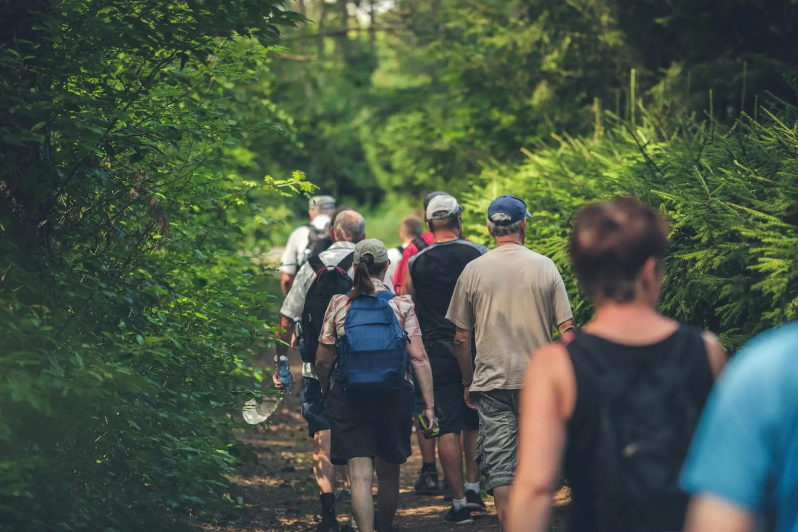Sowie eine Wanderung inmitten herrlicher Natur