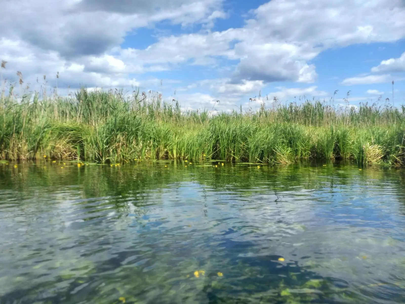In ihrem glasklaren Wasser können Sie so manche Entdeckungen machen.