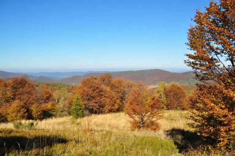 Willkommen im Nationalpark Bieszcczady!