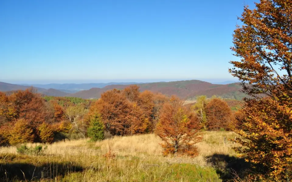 Wandern in Polens Waldkarpaten