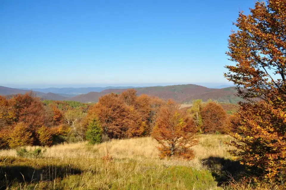 Wandern in Polens Waldkarpaten