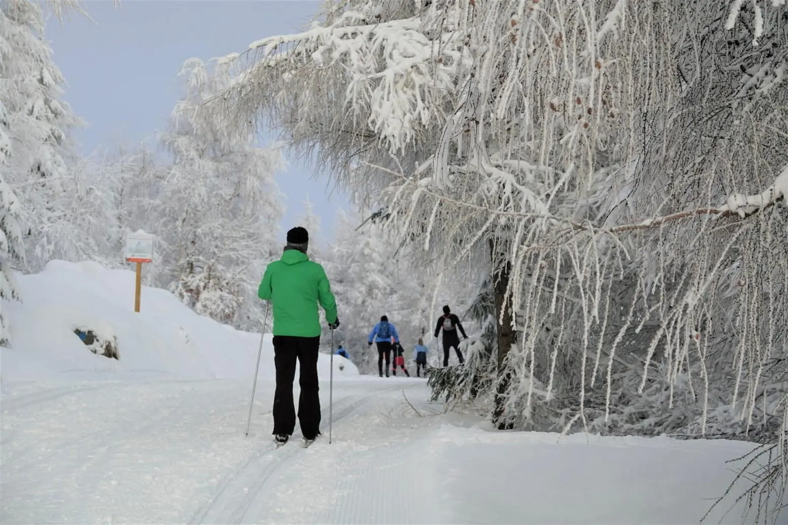 100 km Loipen zwischen 700 und 1100 m Höhe erstrecken sich im Loipennetz