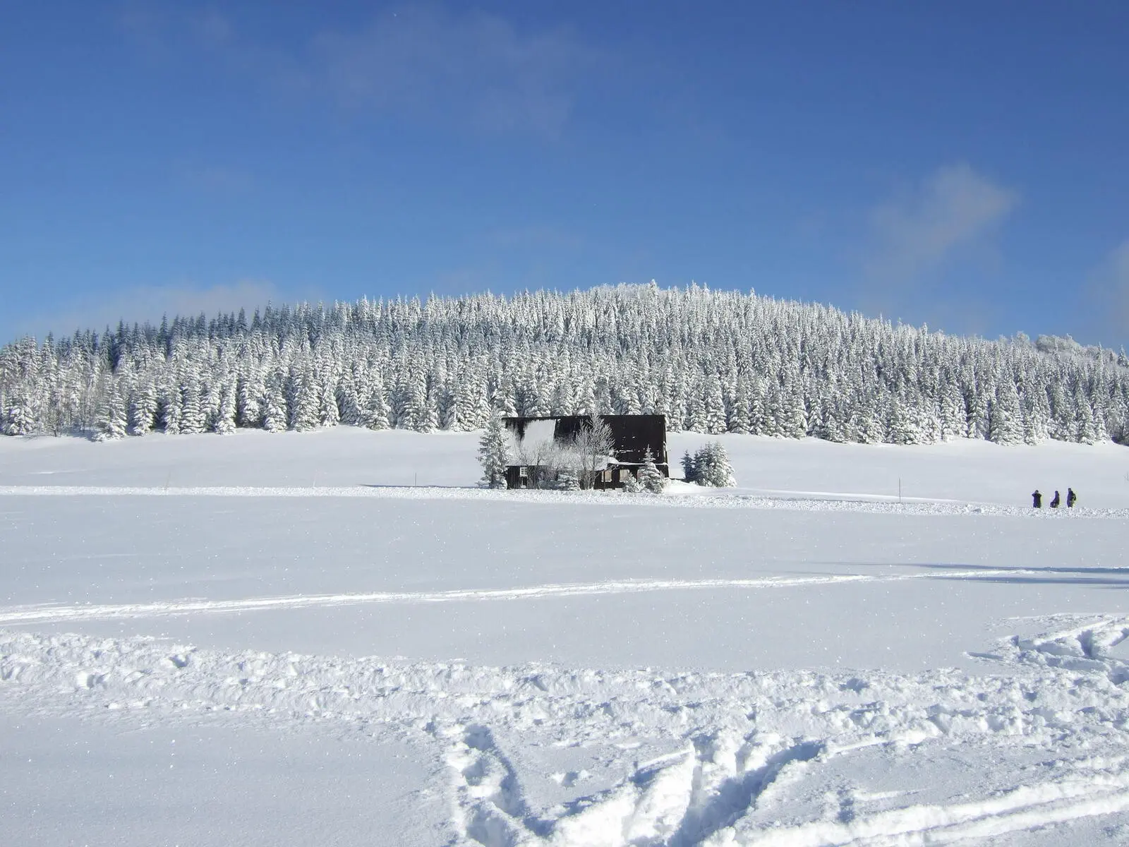 Isergebirge bei Klein-Iser (Jizerka) mit Blick auf den Buchberg