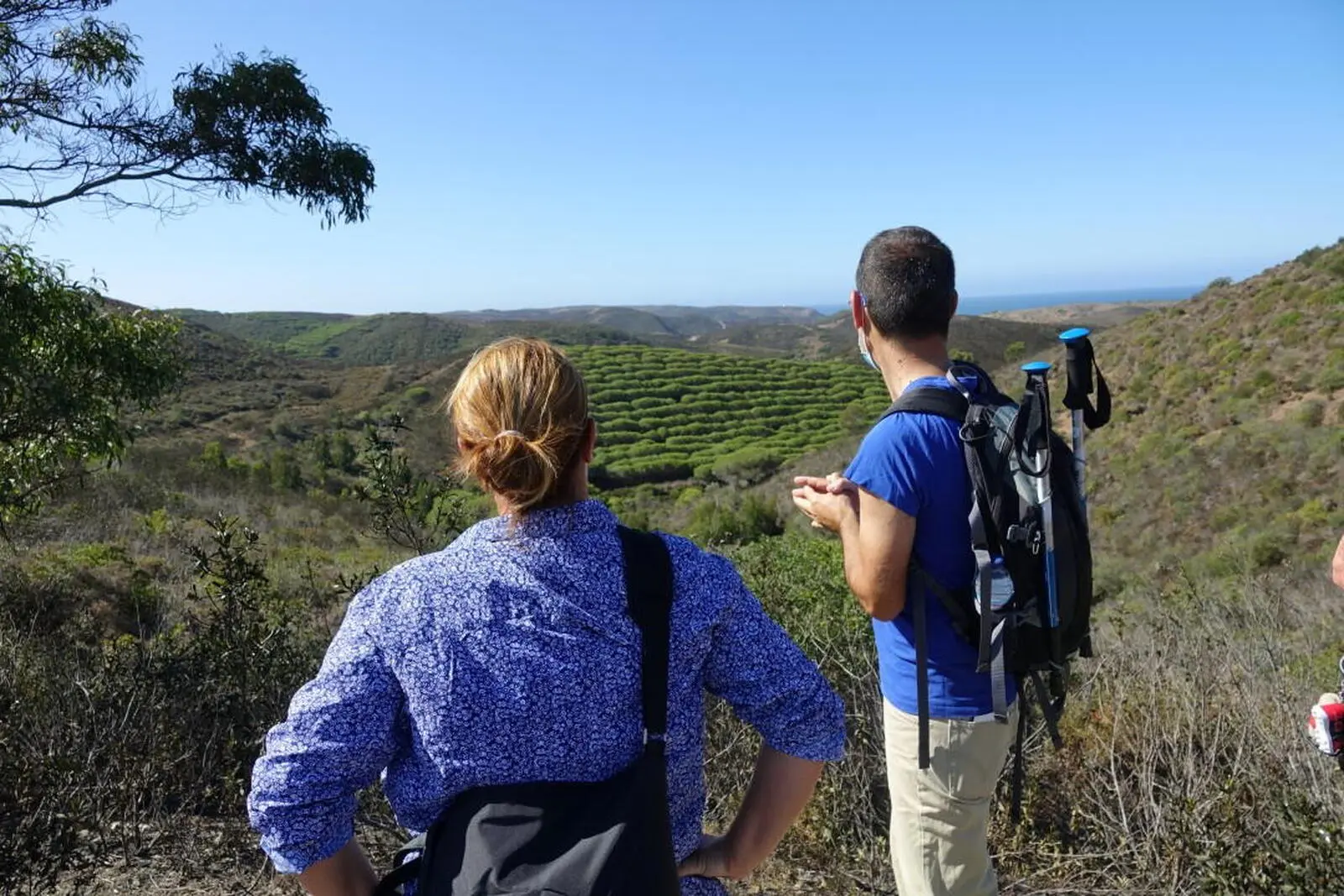 Die "richtige" Algarve liegt im bergigen Hinterland, bei dieser Reise natürlich inkludiert. 