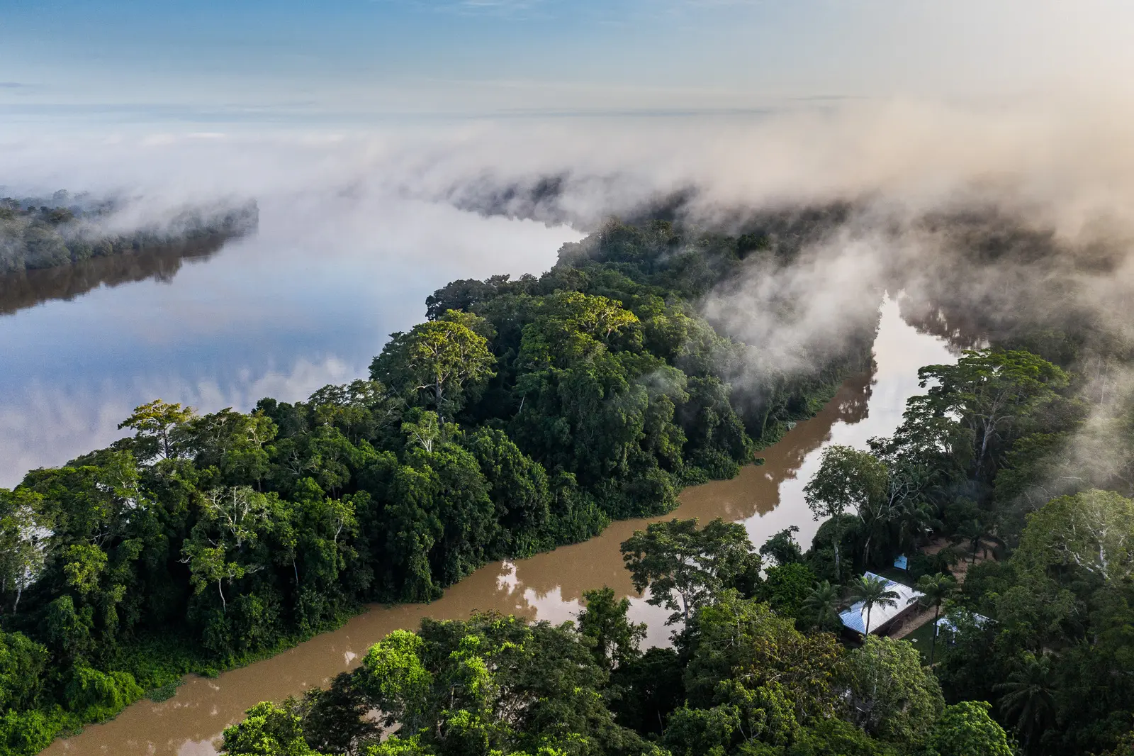 Bomassa: im tiefsten Regenwald am Sangha Fluss