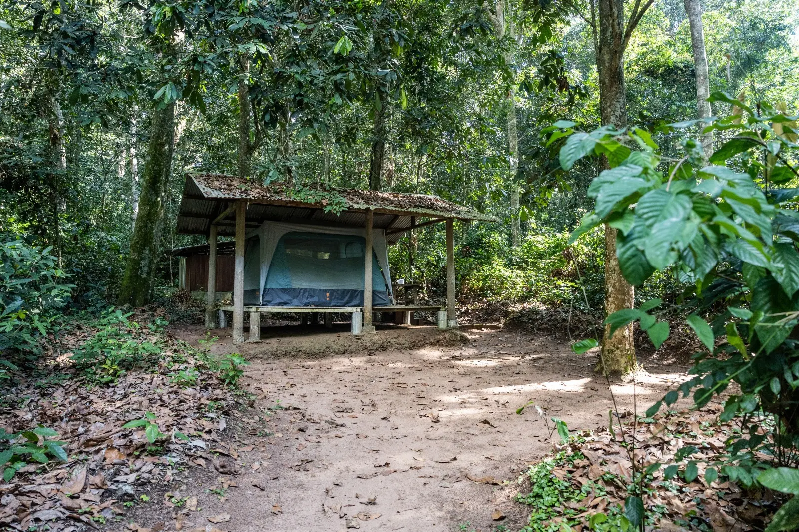 Einfache Unterkunft im Regenwald: das Mondika Camp