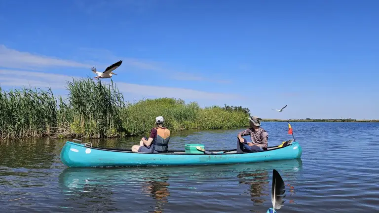 So nah erlebt man das Donaudelta nur vom Wasser aus