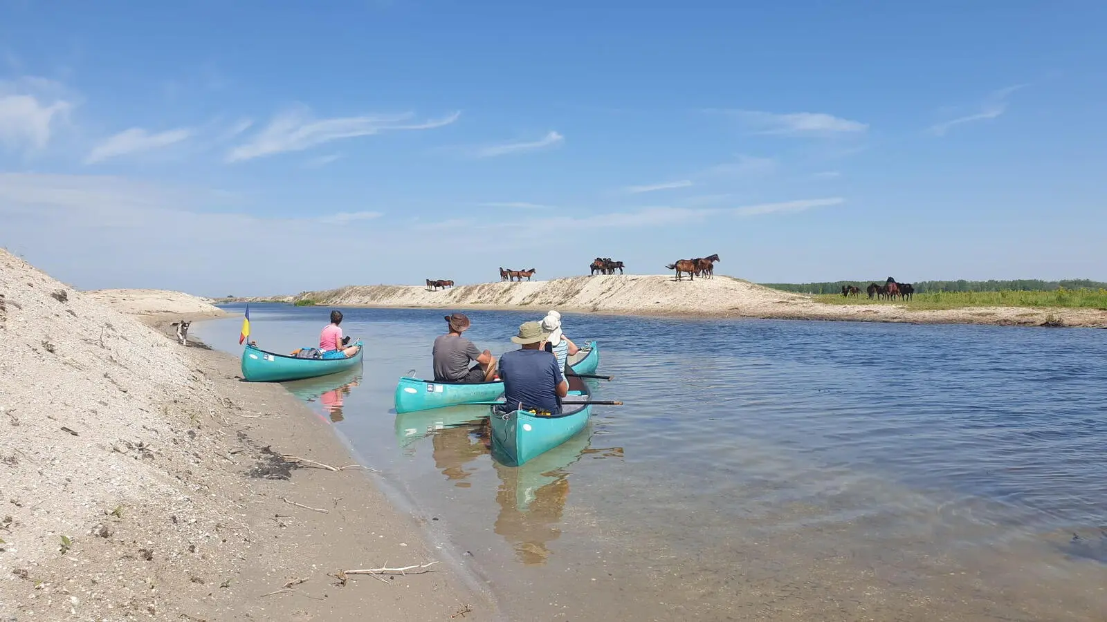 Vorbei an den Sanddünen von Letea, eine der landschaftlichen Überraschungen