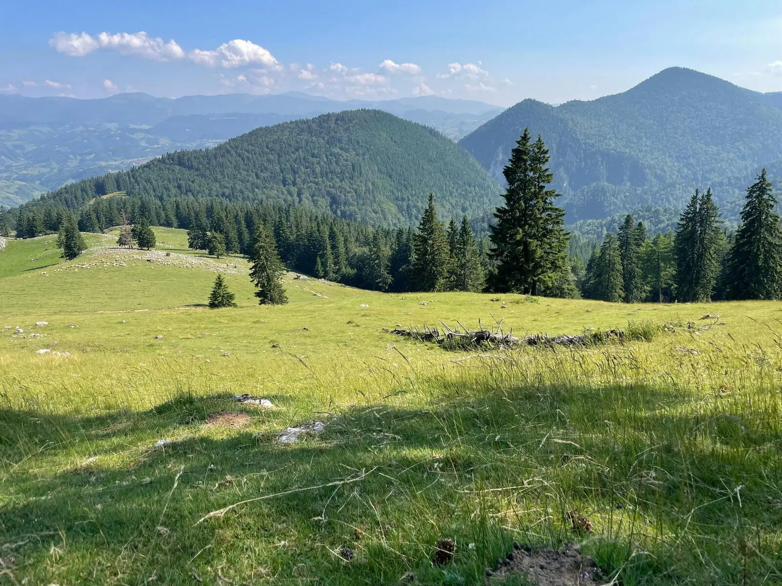 Abstieg vom Kleinen Königstein Richtung Magura