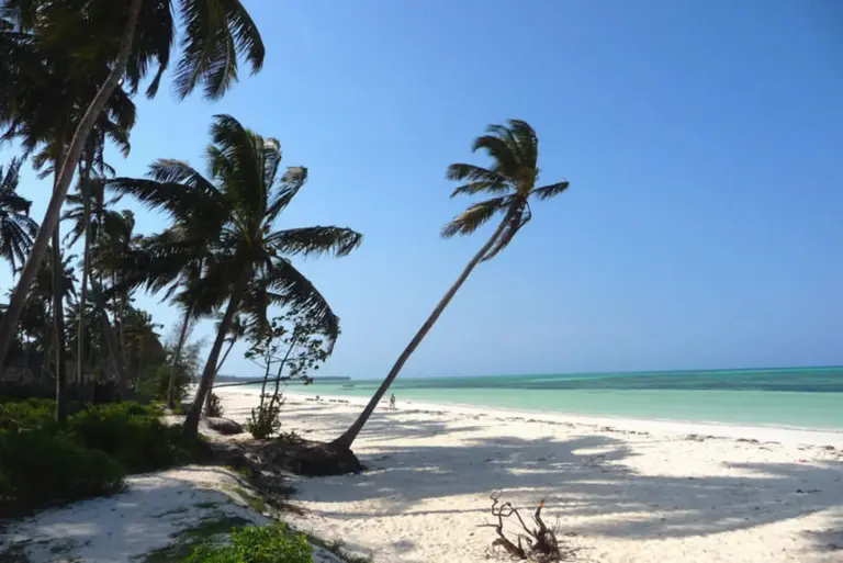 Idylle an Sansibars Ostküste: Lange Strände laden zum Relaxen ein