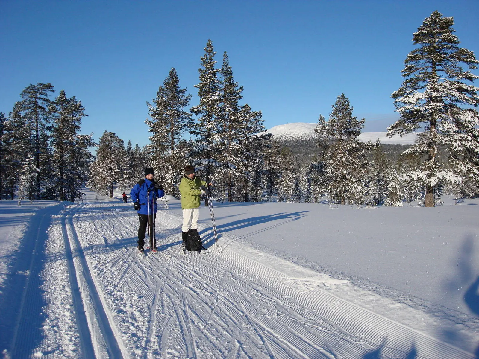 Ski fahren in der Winterwunderwelt 