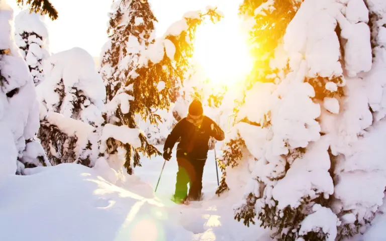 Entkommen Sie mit jedem Schritt der Hektik des Alltags etwas mehr und geniessen Sie die unendlichen Weiten der verschneiten Wälder
