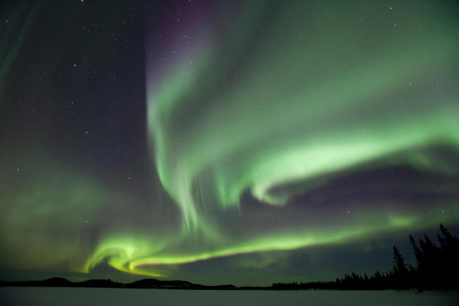 Ein Highlight jeder Lapplandreise im Winter sind die Nordlichter