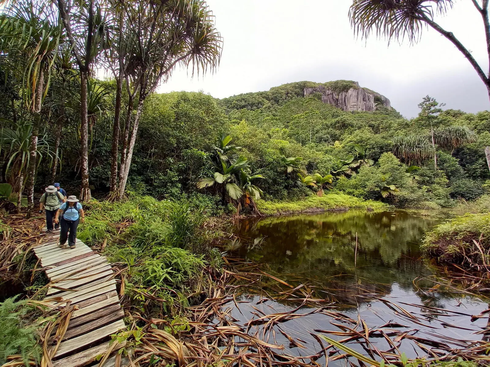 Wanderung im Nationalpark Morne Seychellois