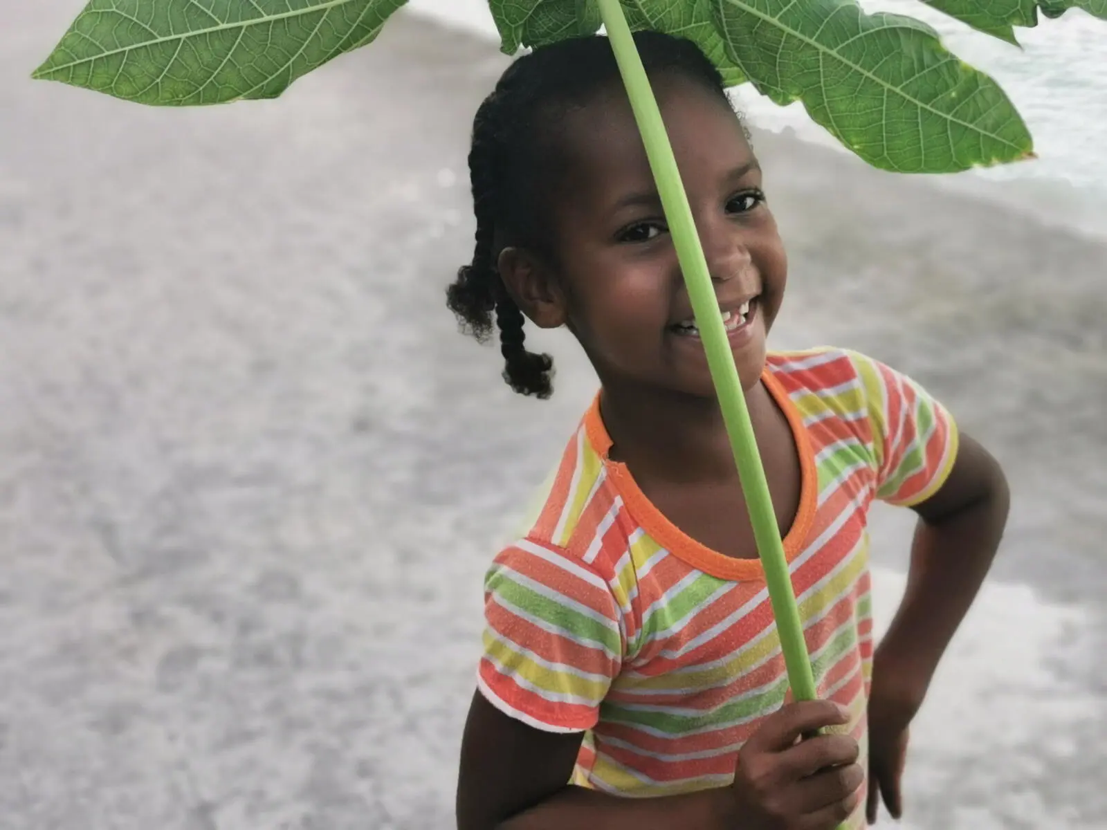 Lassen Sie sich anstecken von der Lebensfreude des "Seychellois"