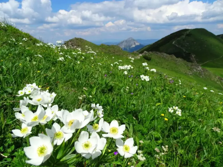 Die Mala Fatra – ein Geheimtipp für Natur- und Wanderfreunde