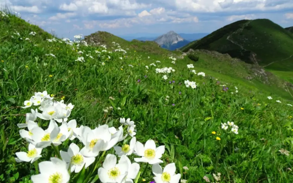 Naturreise Malá Fatra – Wildnis im Herzen Europas