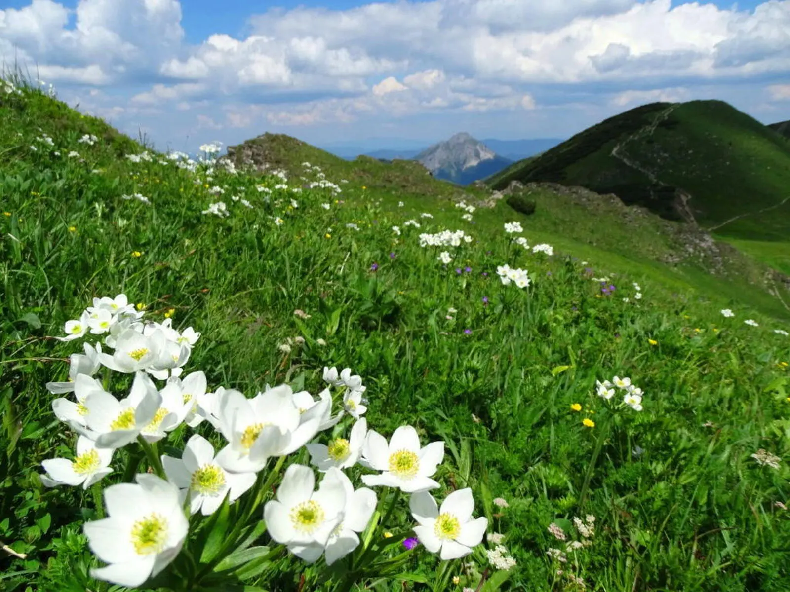 Die Mala Fatra – ein Geheimtipp für Natur- und Wanderfreunde