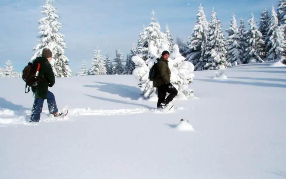 Malá Fatra im Winter: auf den Spuren von Wolf, Bär und Luchs