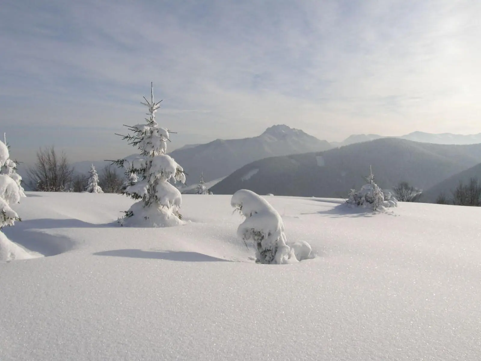 Die tiefverschneite Idylle der Mala Fatra wirkt wie Balsam für die Seele