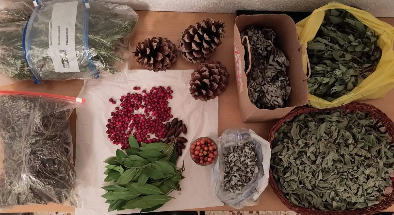 Nicht nur Sonne und gute Laune tanken unsere Gäste in der Aitana. Wer mag, kann auch Wildkräuter, wie weißen Salbei, Zistrose, Thymian, Wacholder und Rosmarin sammlen
