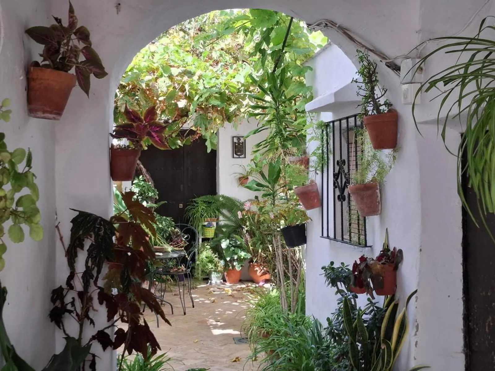 Vejer eine Perle für sich: kleine Gassen, grüne Patios, tolle Restos & Bars