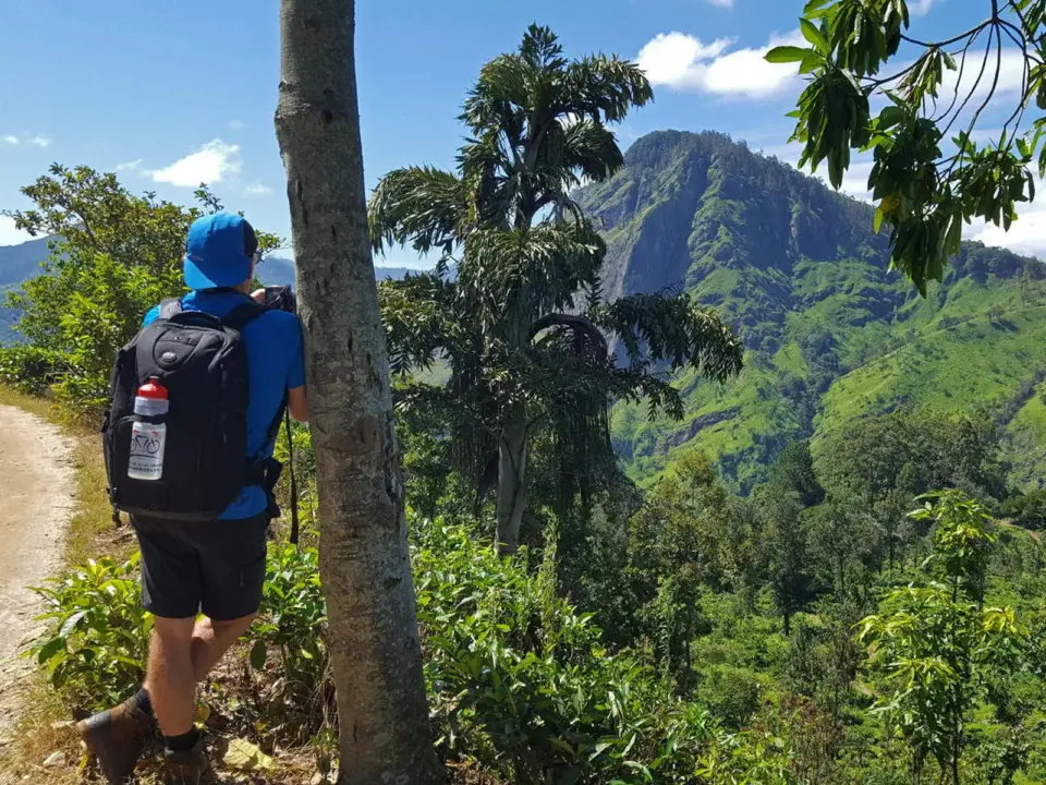 Auf Spurensuche im Tropenparadies