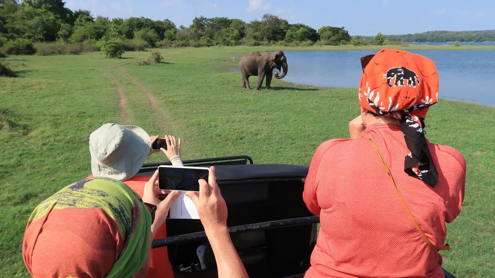 Bei einer Safari im Mineriya Nationalpark können Sie Elefanten beaobachten