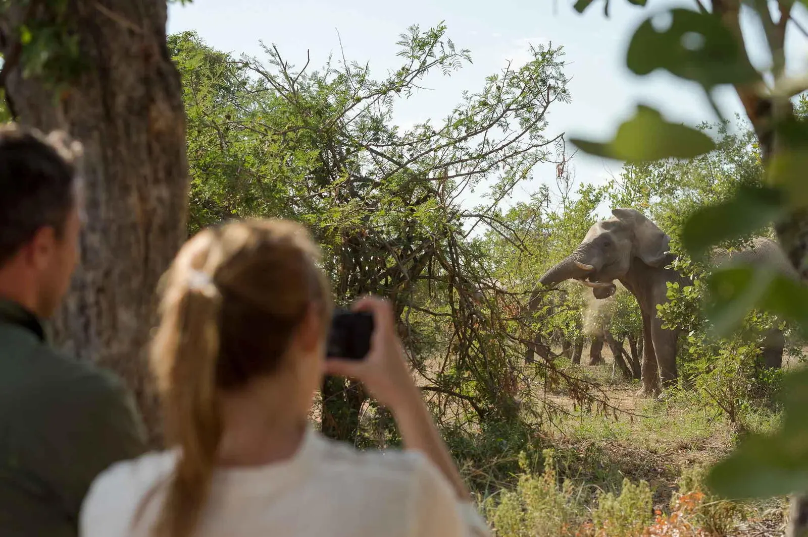 Verlängern Sie Ihre Südafrika-Urlaub mit einer Safari. (© Africa On Foot) 