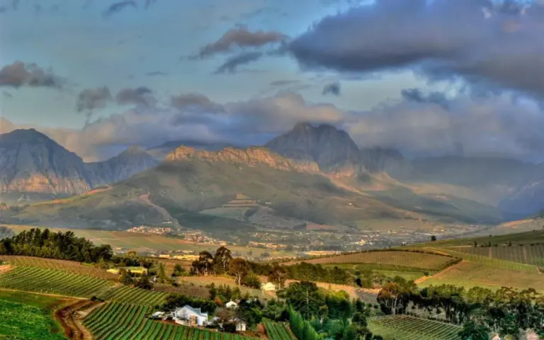 In den südafrikanischen Winelands gibt es über 800 Weingüter!