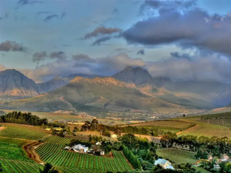 In den südafrikanischen Winelands gibt es über 800 Weingüter!