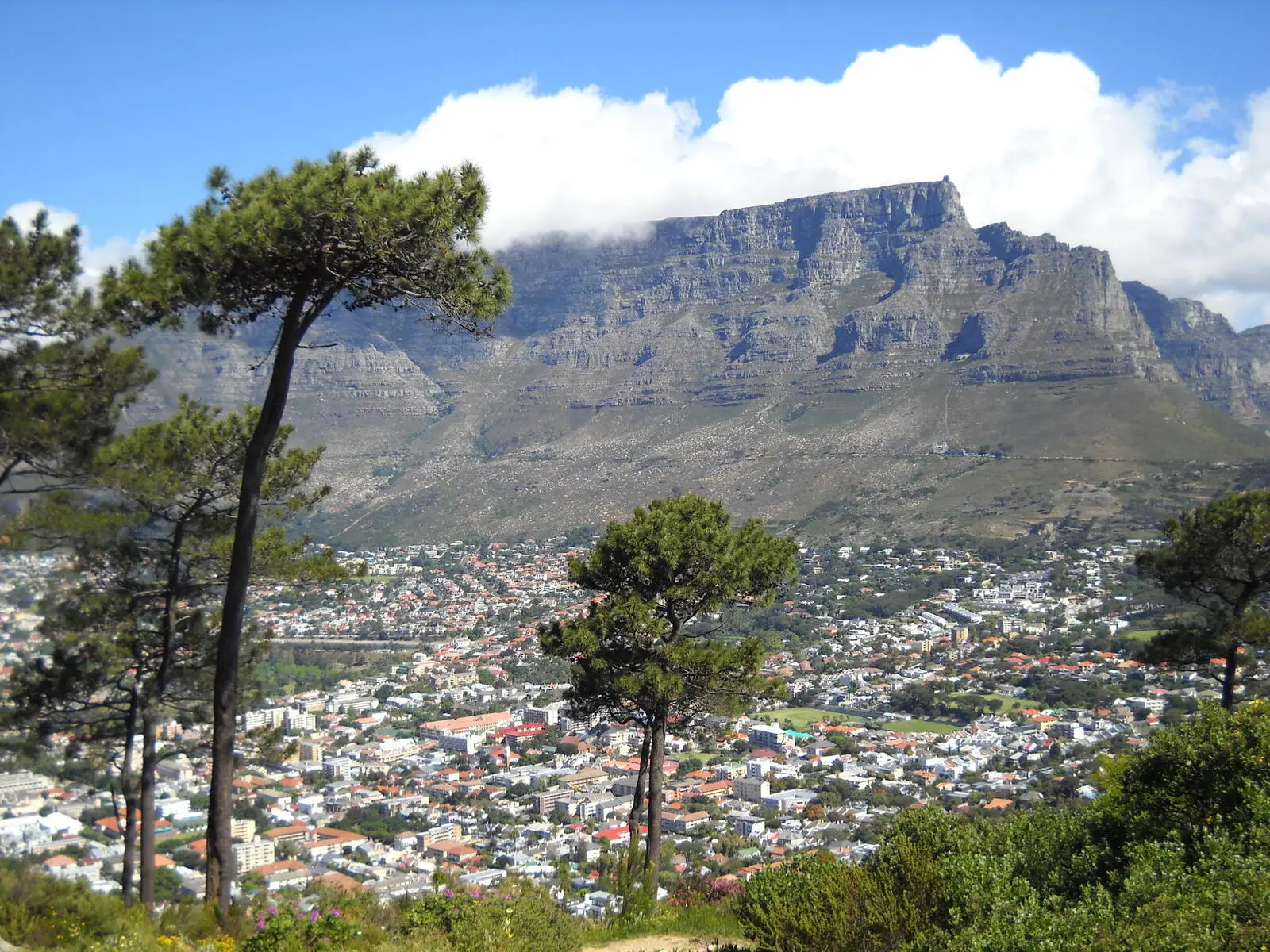 Blick auf den Tafelberg mit dem berühmten "Tischtuch"