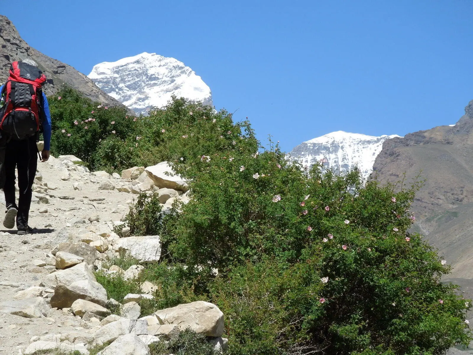 Aufstieg zur Engelswiese mit Blick auf den Peak Engels
