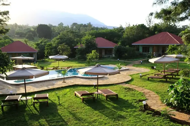 Anreise nach Tansania und Fahrt zur Lodge am Fuße des Mount Meru