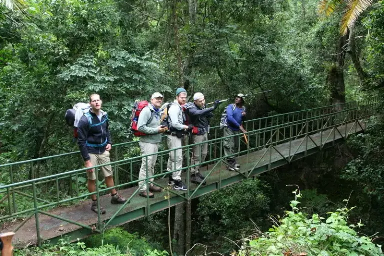 Wanderung vom Bergstädtchen Lushoto durch den grünen Magamba-Wald 