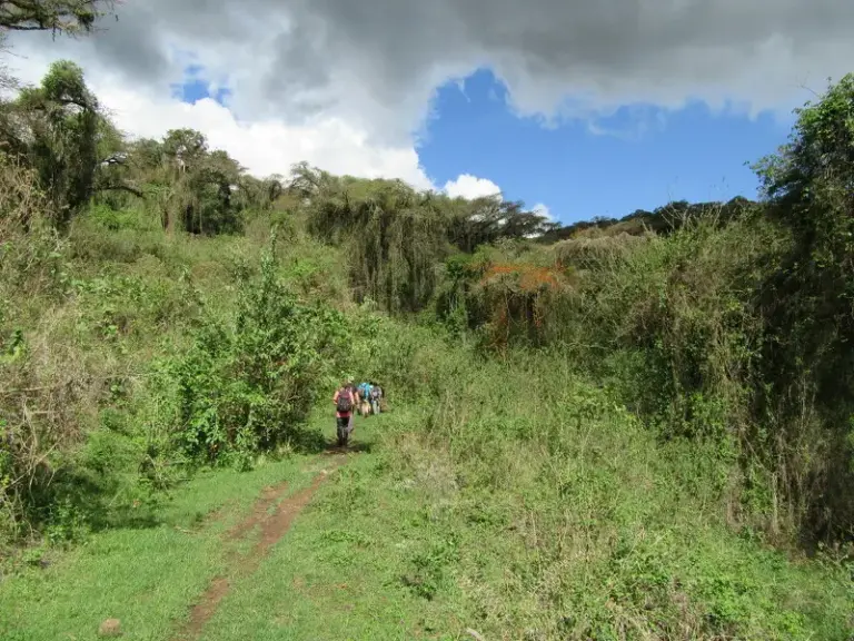 Wanderung auf dem Rand des artenreichen Ngorongoro-Kraters