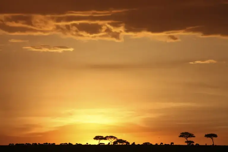 Bequem auf Pirschfahrt: Unendliche Weiten der Serengeti erkunden