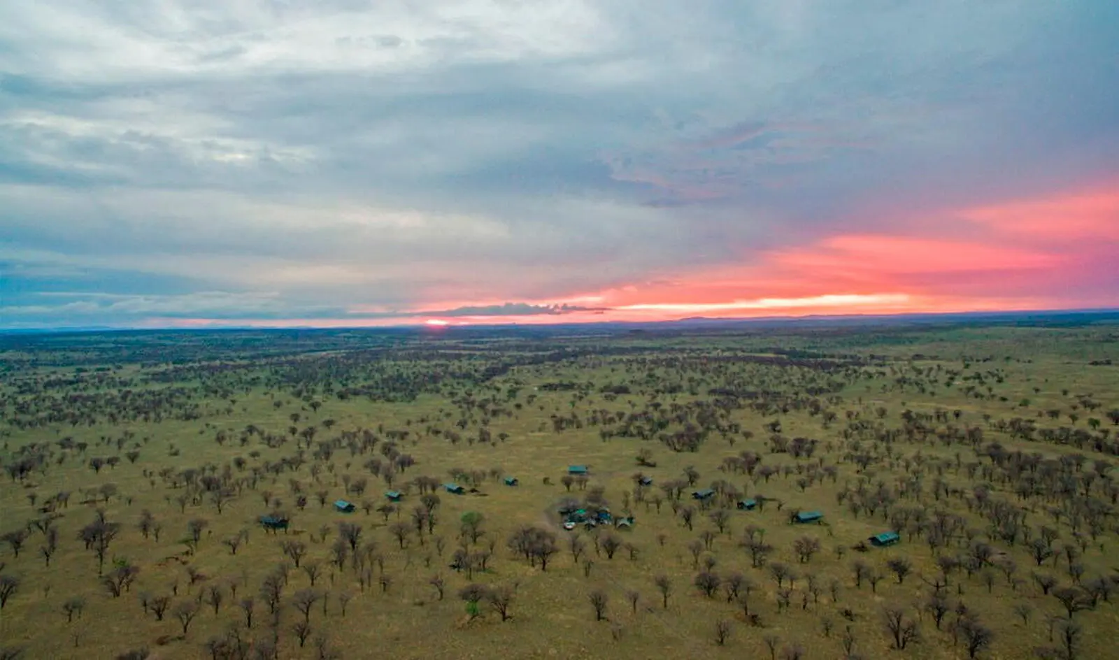 Diese Reise führt Sie tief ins Herz der Serengeti 