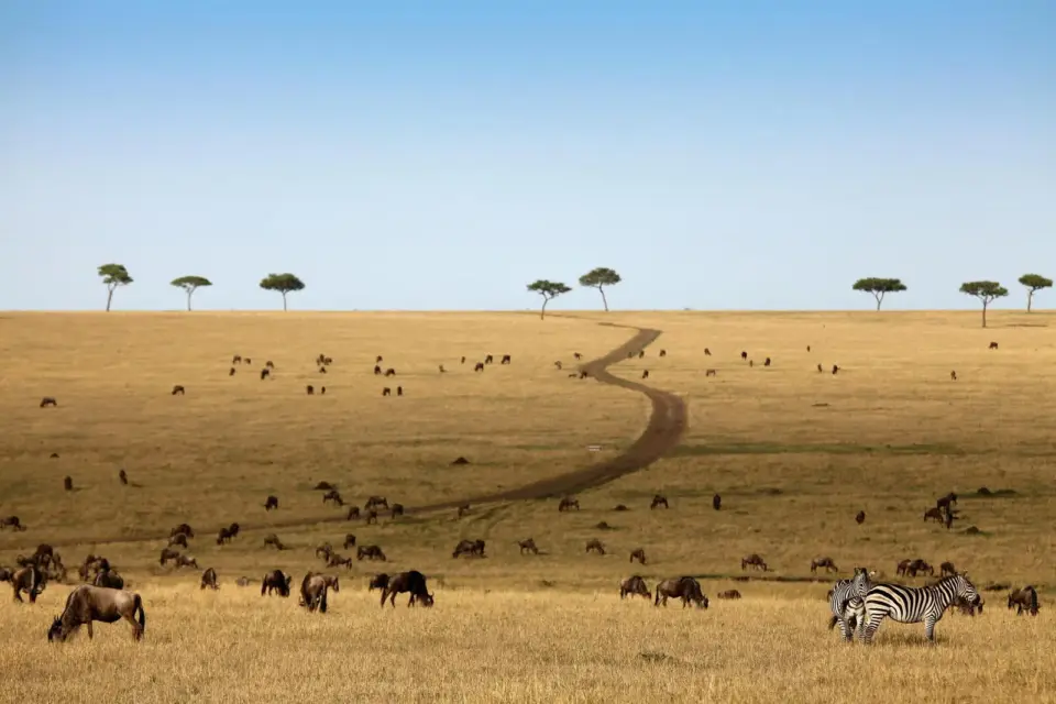 Unberührte Schönheit Tansanias