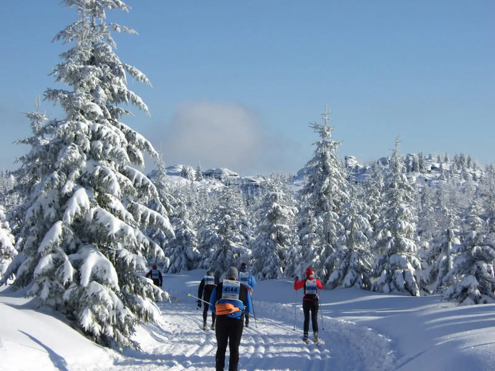 Bei Sonnenschein bietet der Worldloppet eine traumhafte Kulisse, wie kaum ein zweiter Lauf! 