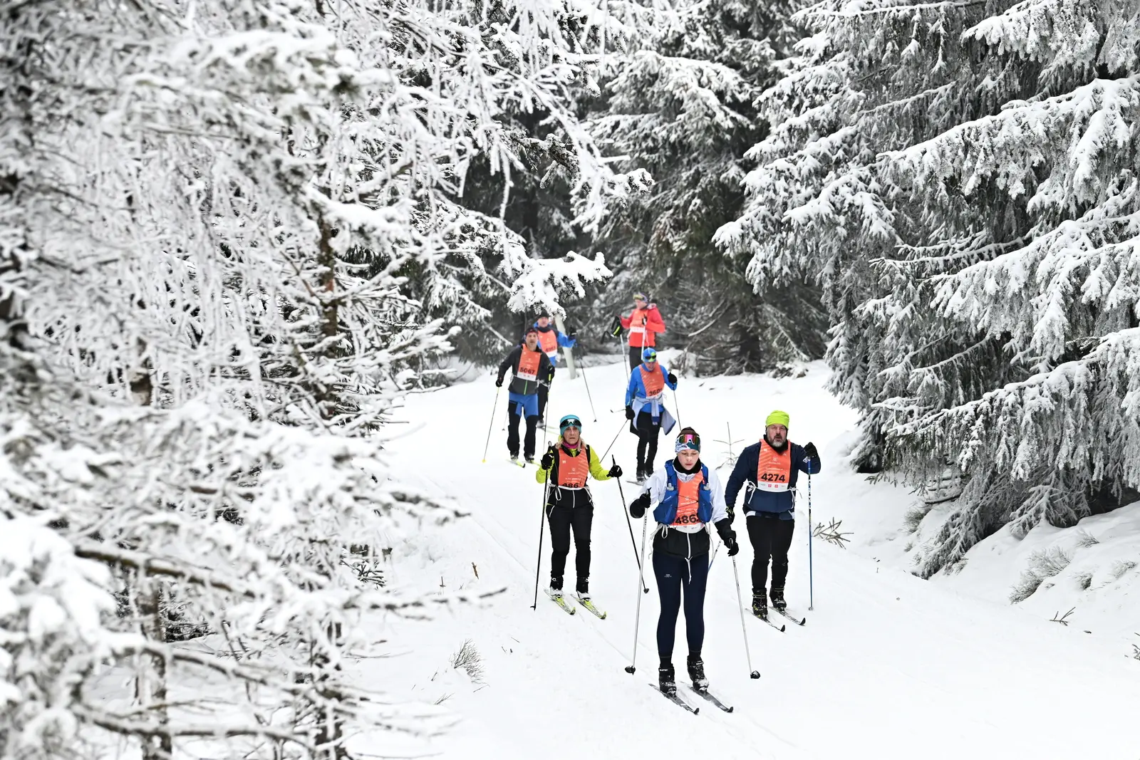 Neben dem 50er stehen auch Wettbewerbe über 10 & 25km (Samstag) zur Auswahl